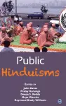 Public Hinduisms cover