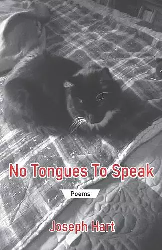 No Tongues To Speak cover