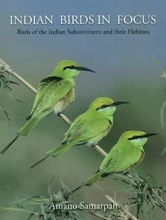 Indian Birds in Focus cover