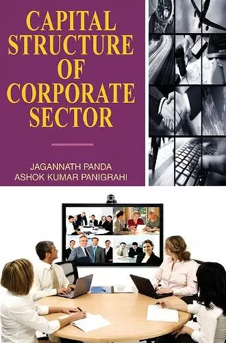 Capital Structure of Corporate Sector cover