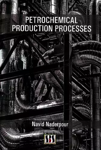 Petrochemical Production Processes cover