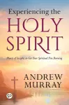 Experiencing the Holy Spirit cover