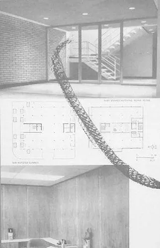 Baby Snakes Hatching. Ruins. Ruins. cover