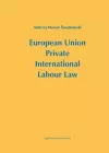 European Union Private International Labour Law cover