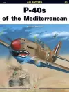 P-40s of the Mediterranean cover