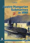 Austro-Hungarian Submarines in WWI cover