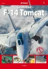 Grumman F-14 Tomcat cover