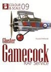 Colour & Scale No. 09 Gloster Gamecock cover
