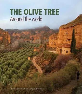 The Olive Tree cover