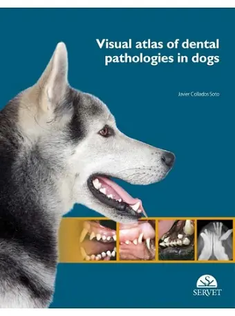 Visual Atlas of Dental Pathologies in Dogs cover