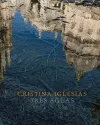 Cristina Iglesias: Tres Aguas cover