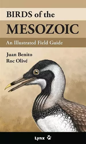 Birds of the Mesozoic cover