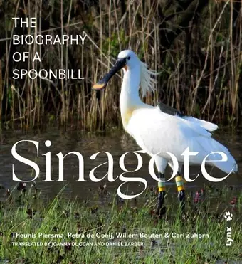 Sinagote, the biography of a spoonbill cover