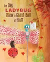 The Day Ladybug Drew a Giant Ball of Fluff cover