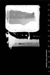Frederic Amat_Zootrop cover