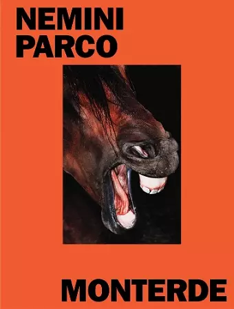 Nemini Parco cover