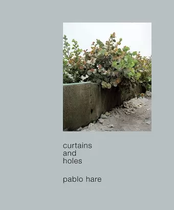 Curtains and Holes cover