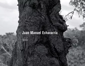 Juan Manuel Echavarría cover