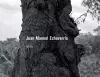 Juan Manuel Echavarría cover