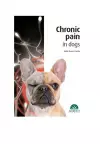 Chronic Pain in Dogs cover