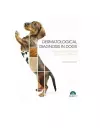 Dermatologic Diagnosis in Dogs. An Approach Based on Clinical Patterns cover