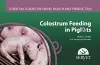 Colostrum feeding in piglets. Essential guides on swine health and production cover