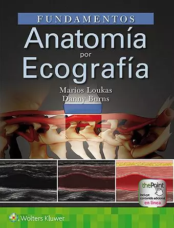 Fundamentos. Anatomía por ecografía cover