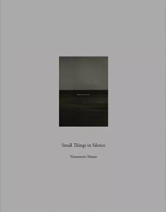 SmallThings in Silence cover