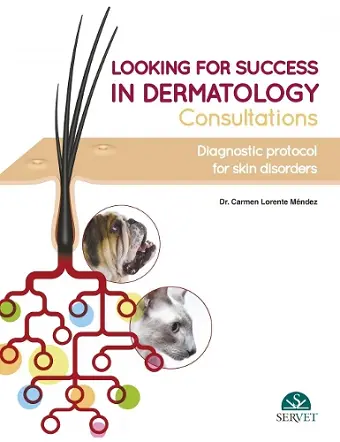 Looking for Success in Dermatology Consultations. Diagnostic Protocol for Skin Disorders cover