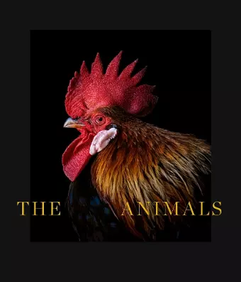 The Animals cover