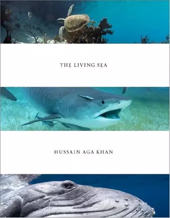 The Living Sea cover