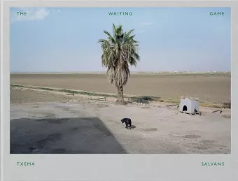 Txema Salvans: The Waiting Game III cover