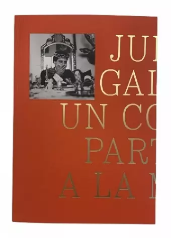 A Rabbit Split In Half: Julio Galan cover