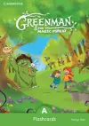 Greenman and the Magic Forest A Flashcards (Pack of 48) cover