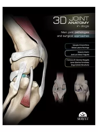 3D Joint Anatomy in Dogs. Main joint pathologies and surgical approaches cover