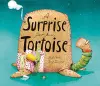 A Surprise for Mrs. Tortoise cover