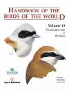 Handbook of the Birds of the World. Vol.13 cover