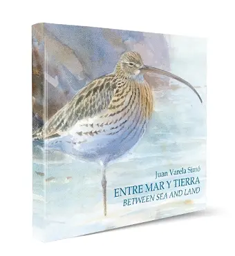 Between Sea and Land / Entre Mar y Tierra cover