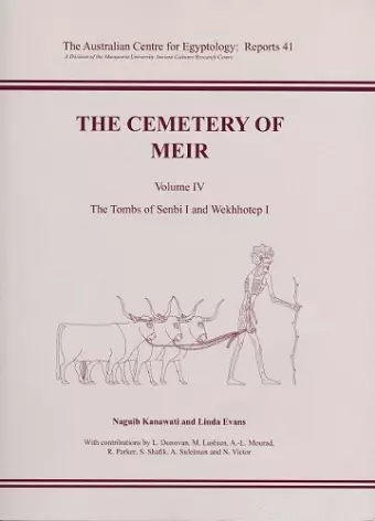 The Cemetery of Meir cover