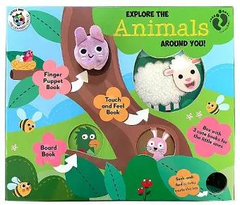 Explore the Animals Around You (Curious Baby) cover