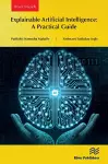 Explainable Artificial Intelligence: A Practical Guide cover