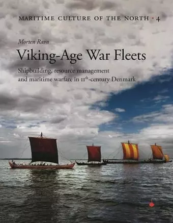 Viking Age War Fleets cover