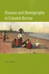 Disease and Demography in Colonial Burma cover