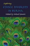 Exploring Ethnic Diversity in Burma cover