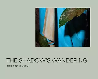 The Shadow’s Wandering cover