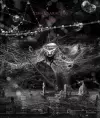 Tomas Saraceno cover