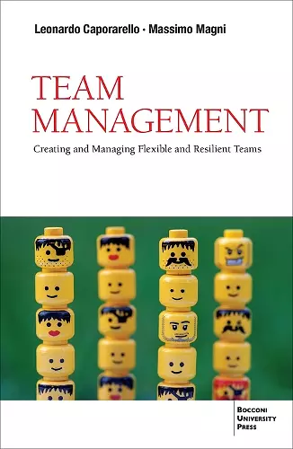 Team Management cover