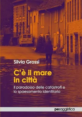 CÕ il mare in citt^. Il paradosso delle catastrofi e lo spaesamento identitario cover