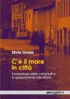 CÕ il mare in citt^. Il paradosso delle catastrofi e lo spaesamento identitario cover