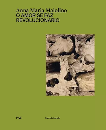 Anna Maria Maiolino cover